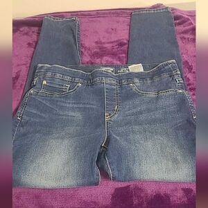Women's Levi Signature Totally Shaping Pull-On Skinny Jeans, Size 14L (32x32)